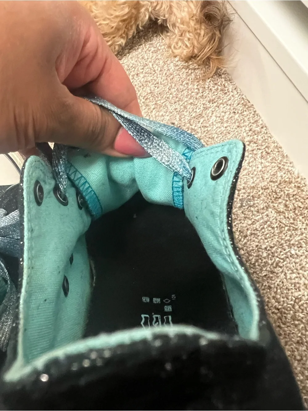 Converse brand new